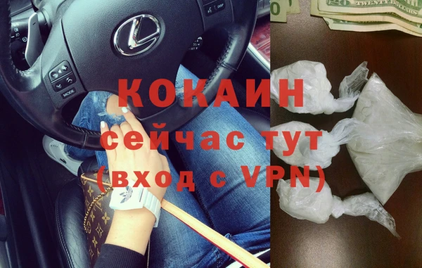 прущие грибы Верея