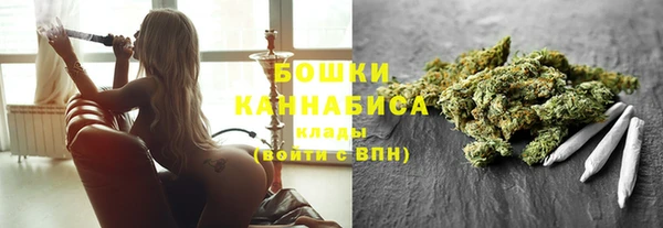 прущие грибы Верея