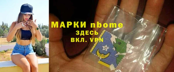 прущие грибы Верея