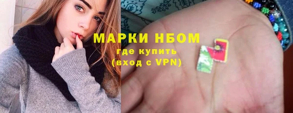 гидра Верхний Тагил