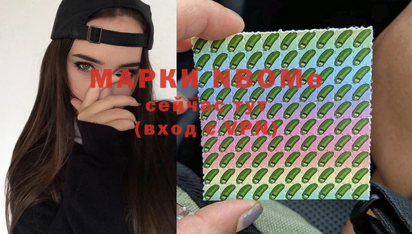 гидра Верхний Тагил
