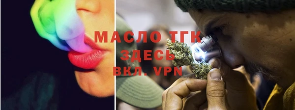 гидра Верхний Тагил