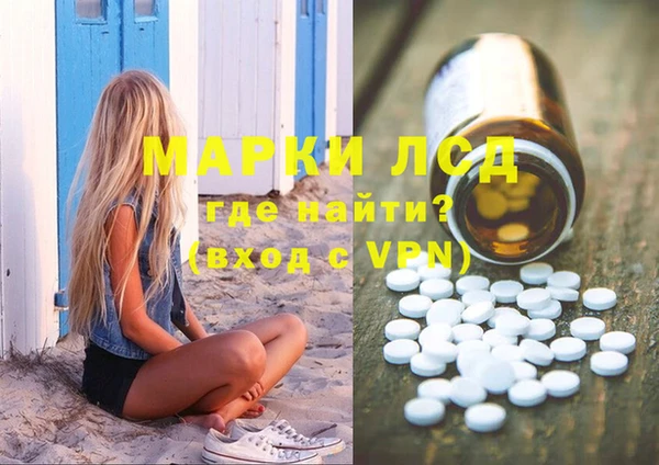 прущие грибы Верея
