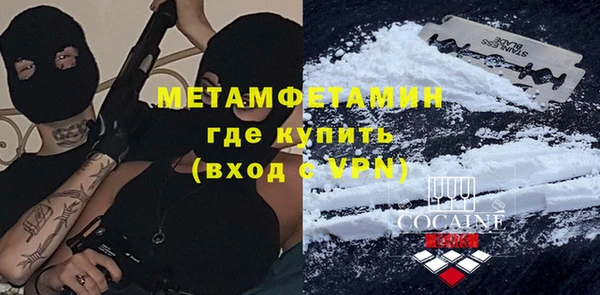 прущие грибы Верея