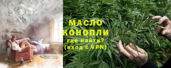 гидра Верхний Тагил