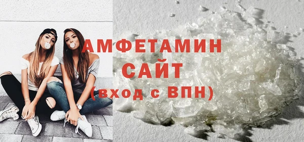 прущие грибы Верея
