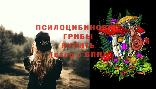 гидра Верхний Тагил