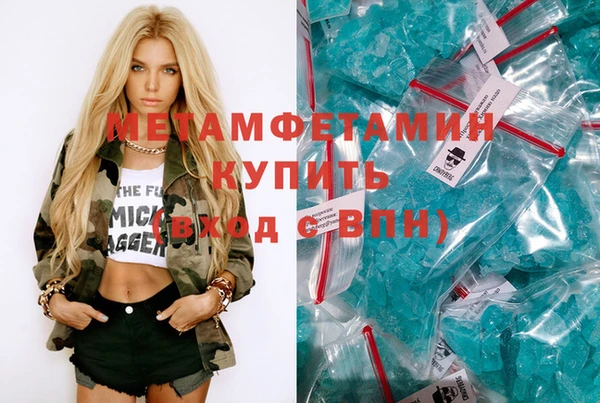 прущие грибы Верея