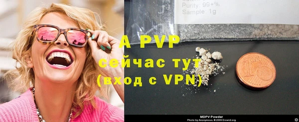 прущие грибы Верея