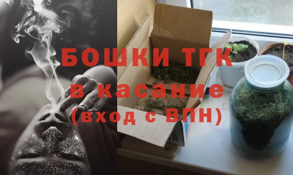 гидра Верхний Тагил