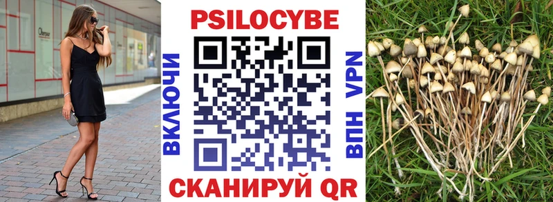 наркошоп  Горячеводский  Псилоцибиновые грибы Psilocybine cubensis 